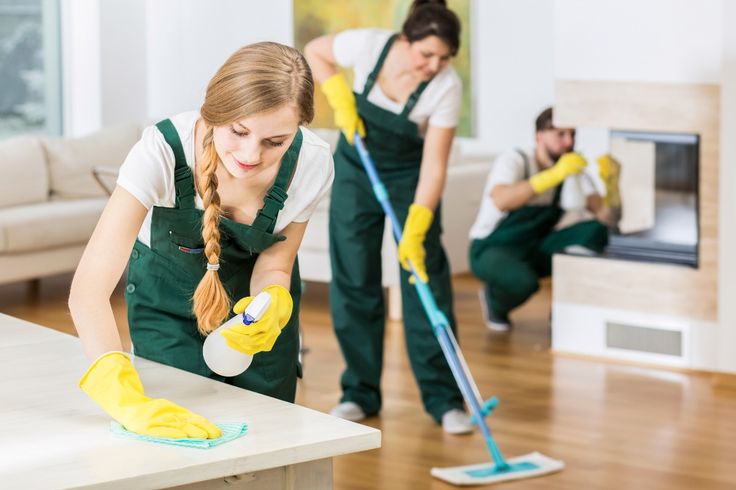 Professional cleaning team working in a modern home